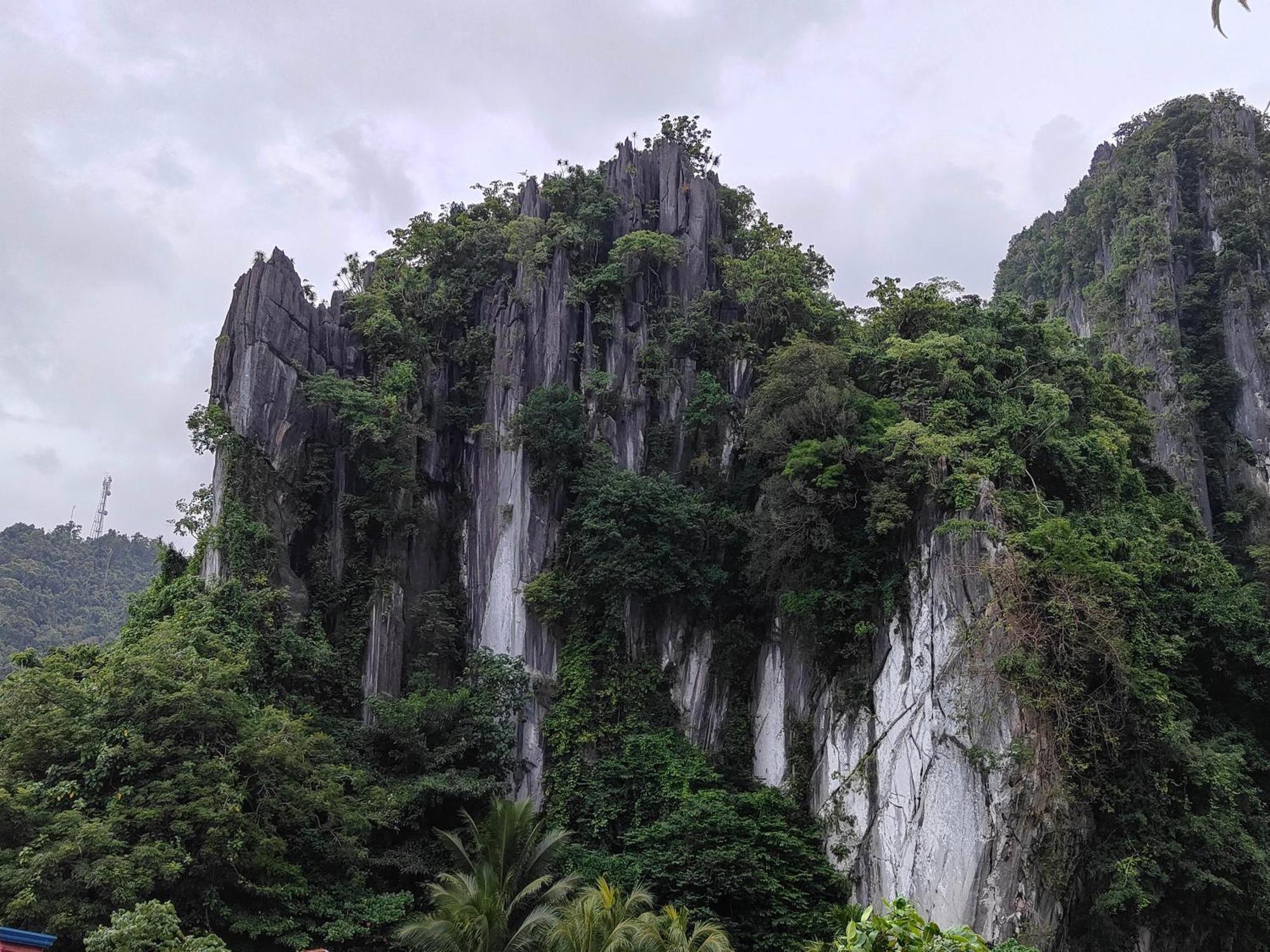 Alocasia Hostel El Nido Zewnętrze zdjęcie